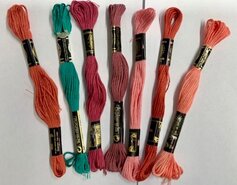 Venus borduurgaren 6 draads