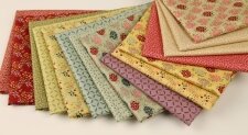 EQP - Tomorrow heritage - 15 F8's van 25 x 55 cm