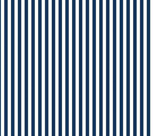 Blauw met witte streep 1/4 inch - C 555  van Riley Blake
