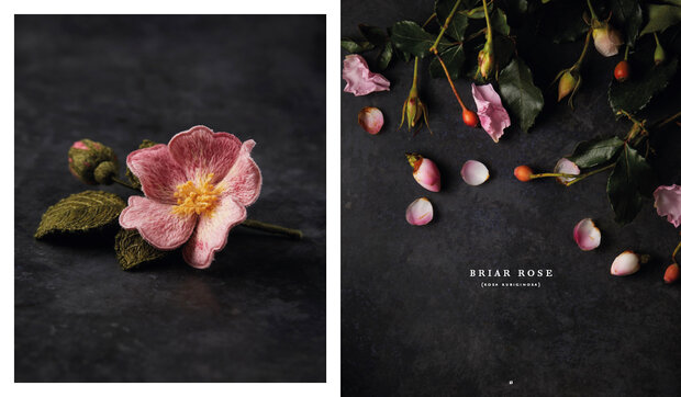 Botanica the three dimensional embroidery van Inspirations