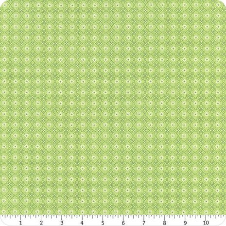 Lori Holt Mercantile C14385 Lettuce Dainty Riley Blake