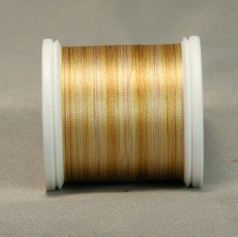 &nbsp;YLI SILK Thread &nbsp;200 meter- 02V SILK geschikt voor hand appliqu&eacute;. The 100wt thread is dun garen welke verdwijnt in de stof. 200 meter op de spoel en 100% pure filament silk.
