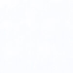 Dimples 1867 L7 Pearl van Andover. Wit