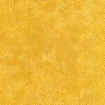 Dimples 1867 Y4 Rajah een mooie okergele tint.