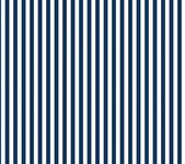 Blauw met witte streep 1/4 inch - C 555  van Riley Blake