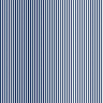 Blauw met witte streep 1/8 inch -  C495   Navy Blue  van Riley Blake 