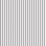 Grijze streep 1/4 inch breed  C555  Riley Blake100% katoen en 110 cm breed