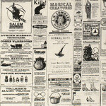 Lost and found C5121 zwart op creme  by Riley Blake Designs